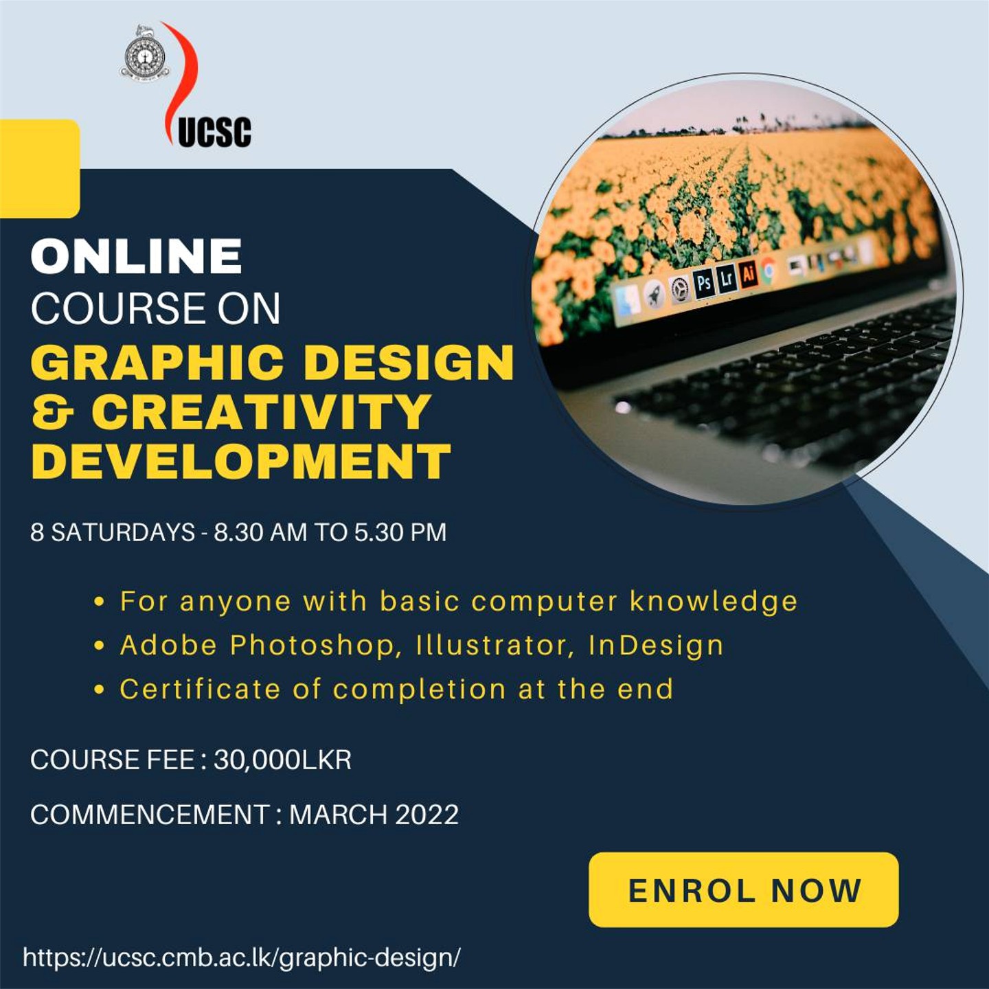 Graphic Design & Creativity Development 2022 Online Course