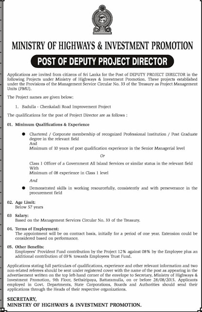 Deputy Project Director Vacancy in Ministry of Highways & Investment Promotion