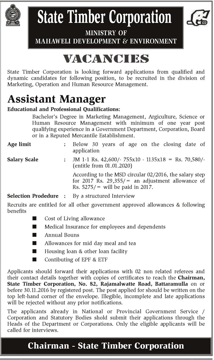 Assistant Manager Vacancies in State Timber Corporation English