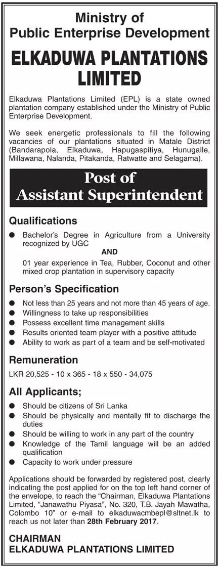 Assistant Superintendent Vacancy in Elkaduwa Plantations Limited