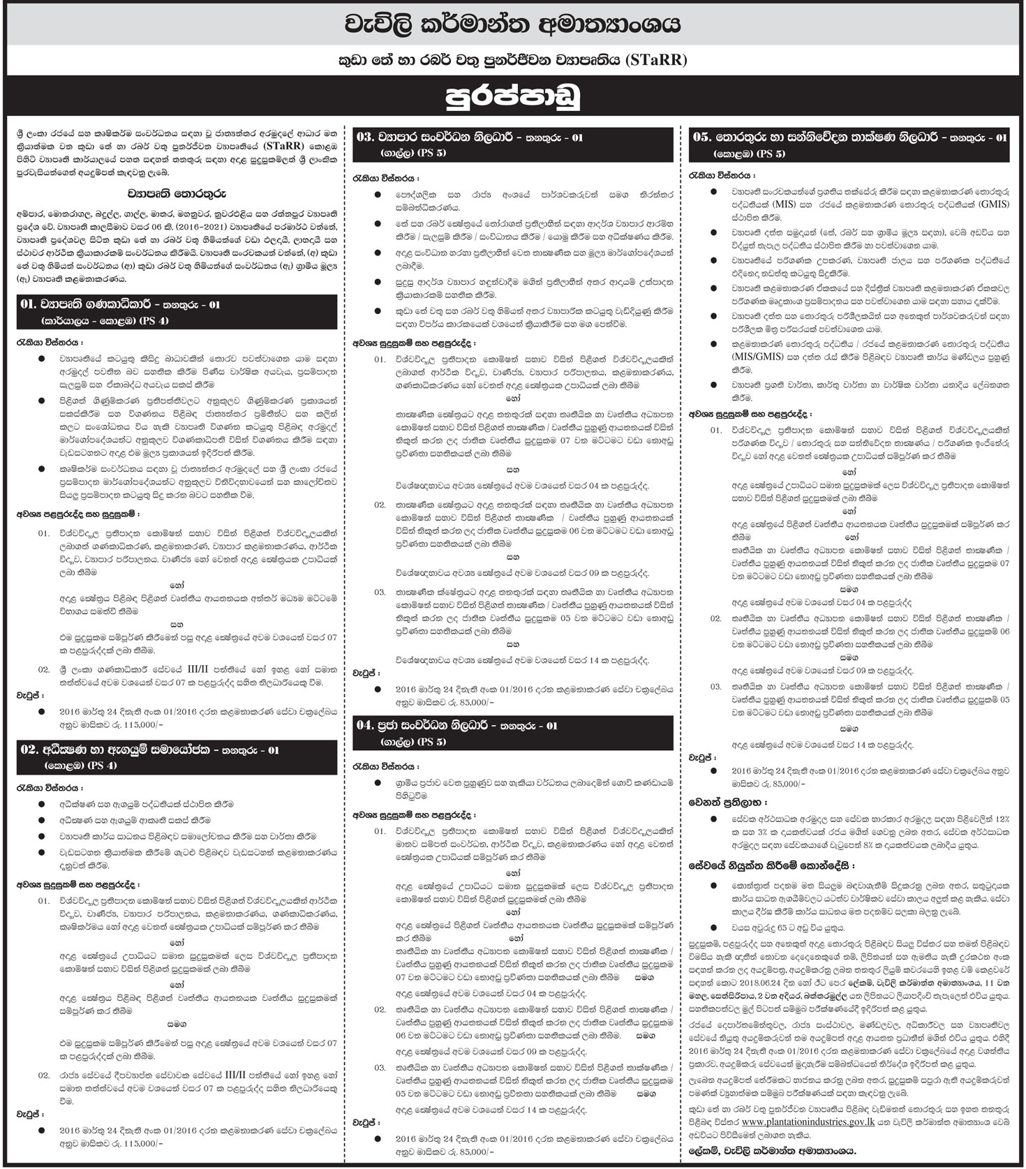 Development Officer / ICT Officer - Ministry of Plantation Industries Jobs Vacancies