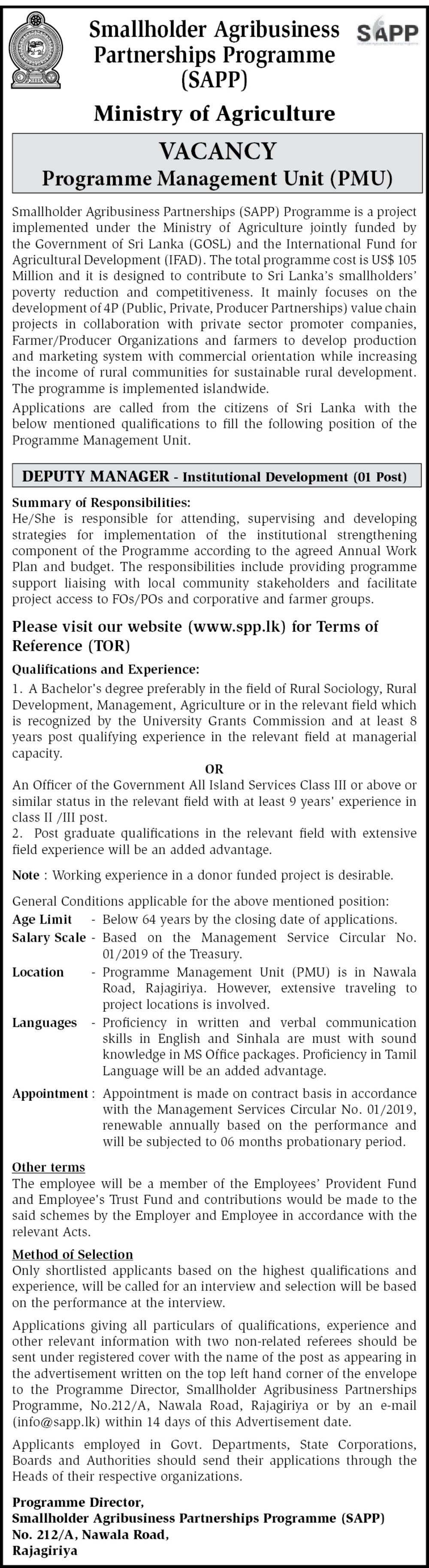 Deputy Manager Job Vacancy in Ministry of Agriculture English Details