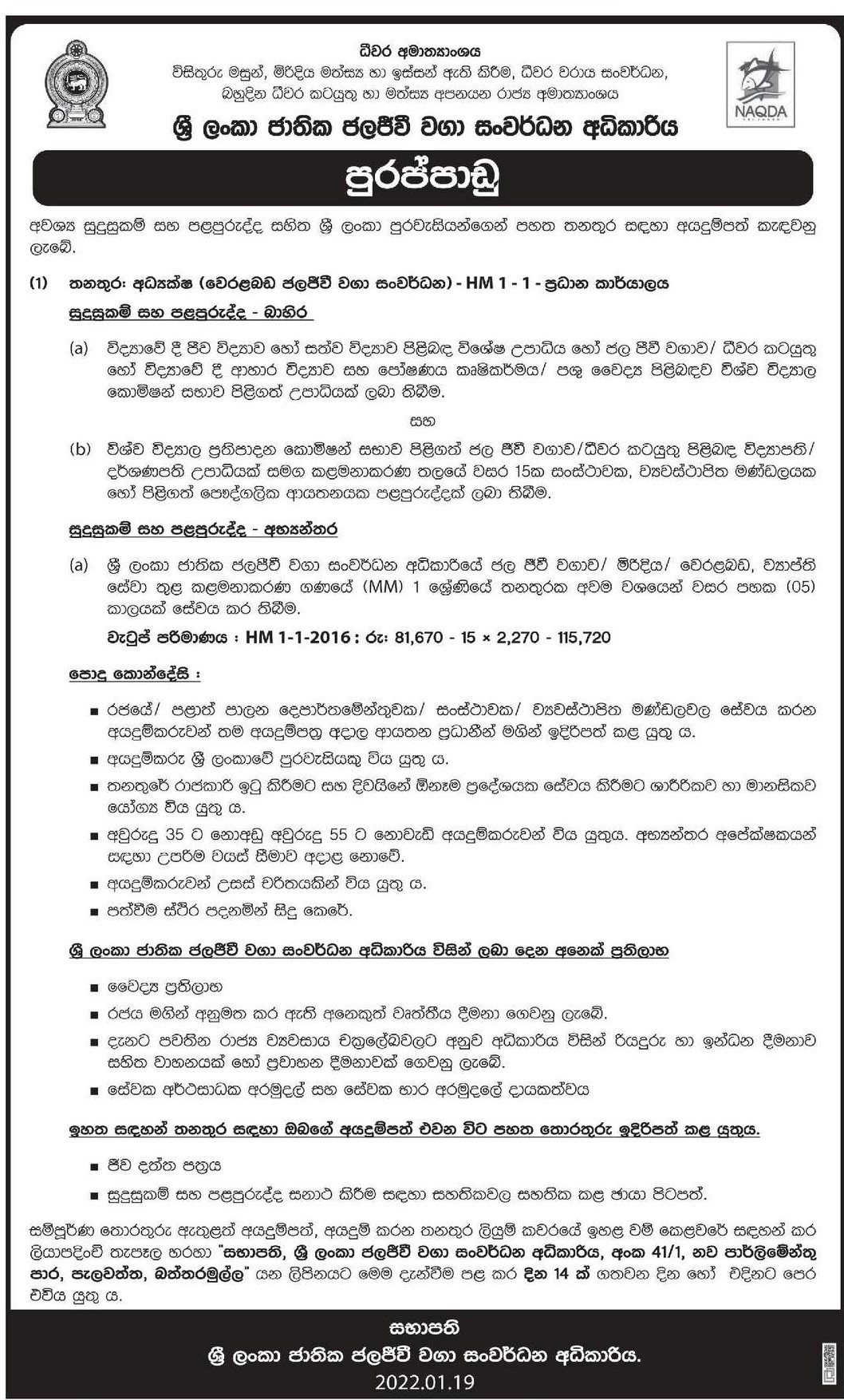Director Job Vacancy in NAQDA Sri Lanka Details Sinhala
