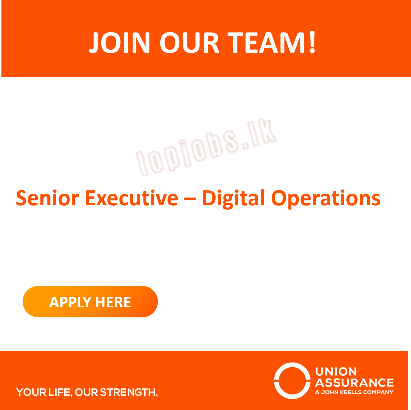 Senior Executive Jobs in Digital Operations at Union Assurance English Details