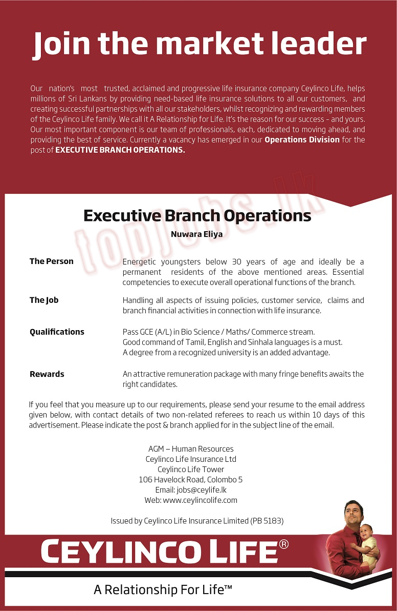 Executive (Branch Operation) - Nuwara Eliya Ceylinco Life Insurance Jobs Vacancies