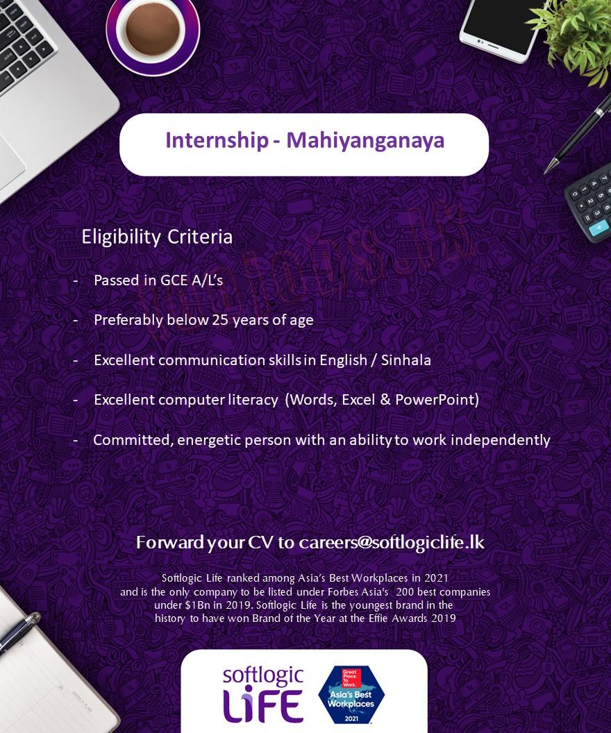 Internship Jobs Vacancies - Mahiyanganaya Softlogic Life Insurance Jobs Vacancies